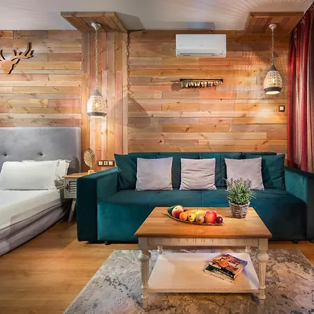 ゲストハウス In Bb ボロヴェッツ